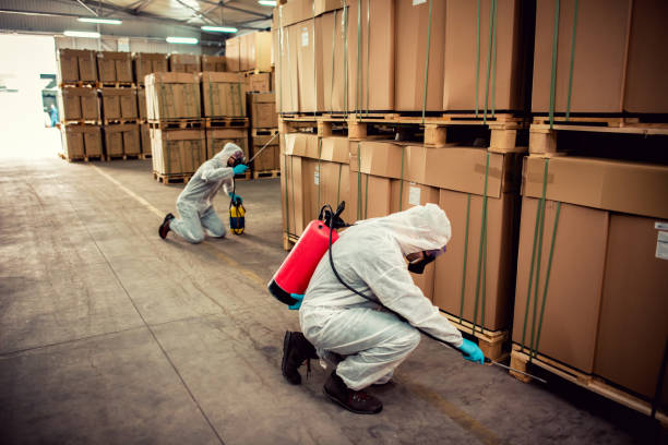 Best Affordable Pest Control Services  in White Bluff, TN