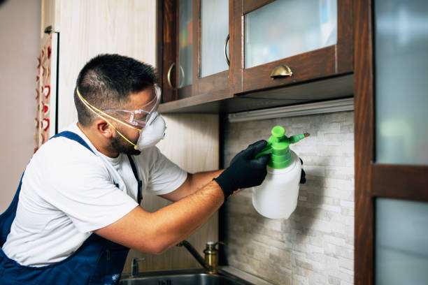 Pest Prevention Services in White Bluff, TN