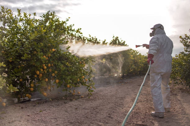 Best Insect Control  in White Bluff, TN