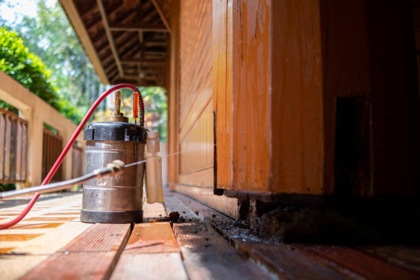 Best Termite Control Services  in White Bluff, TN