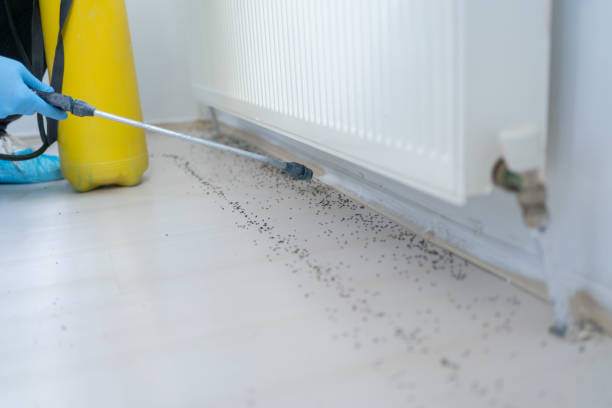 Best Pest Prevention Services  in White Bluff, TN