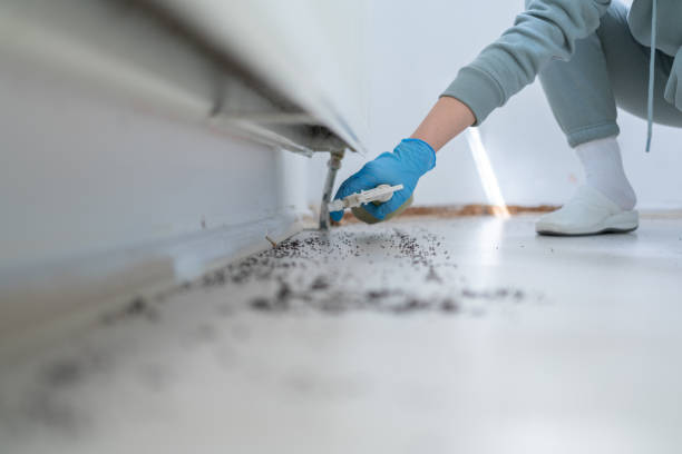 Best Cockroach Control Services  in White Bluff, TN